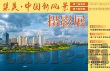 杏彩主管图片-杏彩主管图片，职场中的色彩与角色