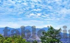足球比分捷报手机-足球比分捷报触手可及，手机应用开启观赛新纪元
